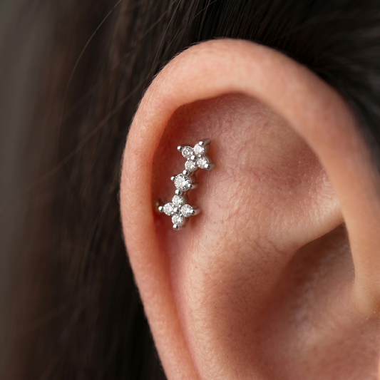 Bijou d’Oreille Fleurs Argentées